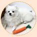 Pet Toy Carrot Knot Teeth Grinding Toy_voghion.com