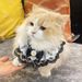 Katzenschal Fliege Haustierhalsband Sabbertuch Gestrickte Halsdekoration Lätzchen Niedliche Accessoires_voghion.com
