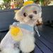 Heartwarming Spring Summer Pet Chest Harness Cat Dog Clothes Outing Duck Leash Set_voghion.com