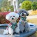 2025 Primavera ed Estate Nuovo Pet Cheongsam Teddy Bichon Carino Cane Gatto Traspirante Protezione Solare Abbigliamento_voghion.com