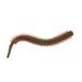 Sandworm Floating Root TPE Soft 7,5 cm 0,8 g Esca artificiale realistica per la pesca in mare_voghion.com