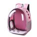 Cat Carrier Backpack Large Capacity Transparent Dog Space Handheld Waterproof Pet Box Bag_voghion.com