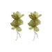 Silver Needle Forest Green Fabric Flower Exaggerated Elegant High-end Atmosphere Fairy Princess Style Earrings_voghion.com