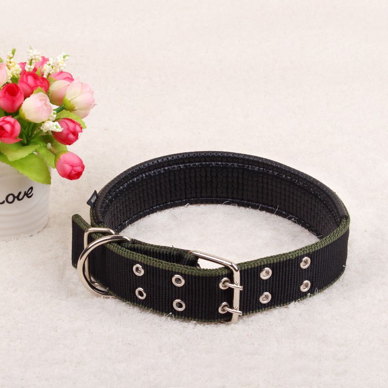 Hersteller, ab Lager verfügbar: Schaumstoff-Hundehalsband, Haustierbedarf, Großhandel_voghion.com