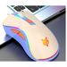 Xuan Silver Fox H1 Wired Three-Color Luminous Gaming Office Mouse 6D Buttons 4 DPI Levels Universal USB_voghion.com