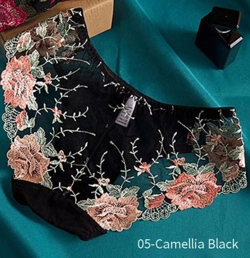 Women's Intimates Sexy Embroidered Triangle Briefs For Women Low Waist Ladies Transparent Breathable Thin Triangle Briefs_voghion.com