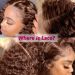 Brown Deep Wave Lace Front Human Hair Wigs Colored Curly Lace Front Pre Plucked Lace Frontal Wig Women_voghion.com
