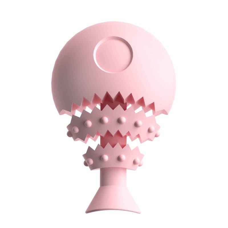 Pet Molar Dog Chew Toy Fish Bone Fun Food Leakage Toy_voghion.com