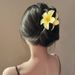 Sommar havet Super älva färg blomma håraccessoarer gradient plumeria blomklämma temperament haj klämma europeisk och amerikansk stil hårklämma_voghion.com