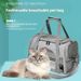 Portable Foldable Pet Carrier Bag With Breathable Mesh & Transparent Window - Lightweight Shoulder Crossbody Design For Small Dogs And Cats_voghion.com