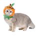 New Double-Sided Pumpkin Reversible Dog Cape Pet Cat Cute Halloween Accessories_voghion.com