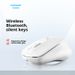 Digitex Digitex Sensoni R4 Wireless 2.4G Bluetooth Dual Mode Mouse Fashionable Office Gaming Laptop Desktop Computer Silent_voghion.com
