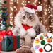 Cat Advent Calendar Christmas Countdown – 24-Day Holiday Surprise Box With Mini Cat Toys & Festive Treats, Purr-fect Gift For Cat Lovers_voghion.com