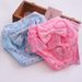 Comfortable Pet Menstrual Pants With Bow Design For Dogs_voghion.com