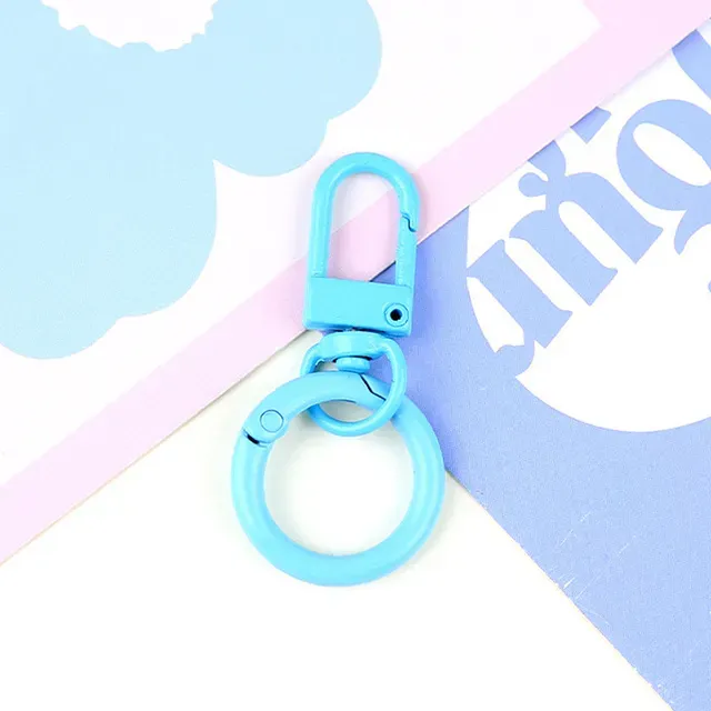 1Pcs Keyring Lobser Clasp Spring Colored Keychains For Diy Jewelry Making Key Ring Hooks Bags Buckle Pained Bag_voghion.com