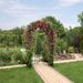 Garden Arch Arbor Trellis with Gate Patio Plant Stand Archway_voghion.com
