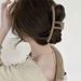 Eenvoudige INS-stijl extra grote matte haaienclip voor dik haar - Opgestoken kapsel met rechte klauwclip - Elegante premium haaraccessoire_voghion.com
