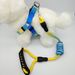 Round Safety Belt Large Leash Gradient Color Pet Explosion-Proof Thickened Dog Walking Rope_voghion.com