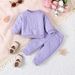 Mother&Kids Baby clothes set Baby long sleeve trousers hoodie two-piece home wear children's clothes_voghion.com