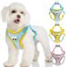 Pet Supplies Cartoon Big Eye Teddy Bichon Vest Style Small Walking Leash Puppy Chest Harness Dog_voghion.com