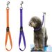 Pet Loop Vaste Verzorging Verstelbare 2,5 cm Hondenbad Veiligheidstouw_voghion.com
