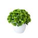Simulazione pianta bonsai desktop fiori artificiali ornamenti per piante palla di fiori palla di erba decorazione della casa in vaso piccoli ornamenti_voghion.com
