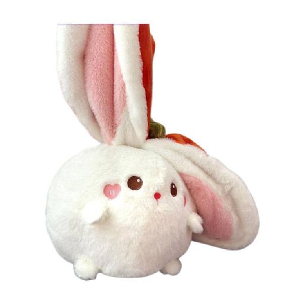 Cute Plush Toy Bunny Transforming Pigshi A Bunny Into_voghion.com