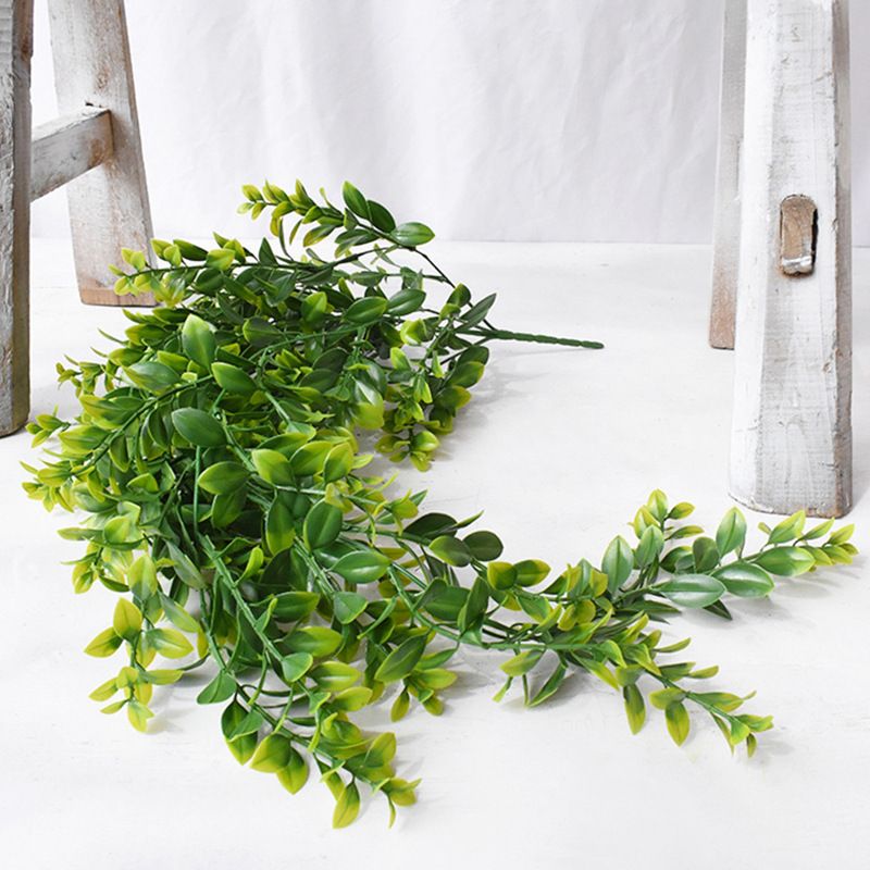 Plant multi-leaf grass wall hanging rattan fern green plant vine plant wall decoration spider plant hanging_voghion.com