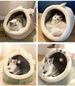 Deep Sleep Cat Bed Cartoon Pet Bed Foldable Removable Washable Pet Sleeping Bed For Small Dog Mat Bag Cave Cats Bed_voghion.com