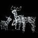 3 Piece Christmas Light Display Reindeers 229 LEDs_voghion.com