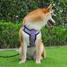 CDDMPET Vest Harness For Dogs By PawParty Store_voghion.com