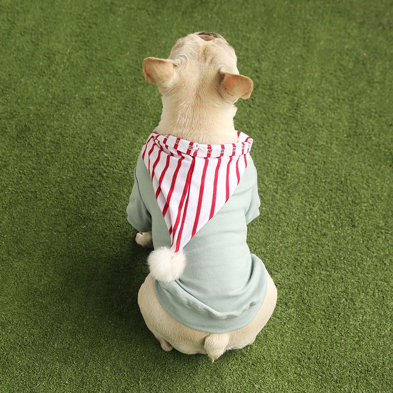 Tedoras neue Hundebekleidung für Herbst und Winter aus reiner Baumwolle, gestreift, mit Kapuze und Plüsch. Sie ist für Haustiere und Teddys geeignet._voghion.com