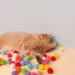 MOONBIFFY Interactive Balls For Cats By PawParty Store_voghion.com