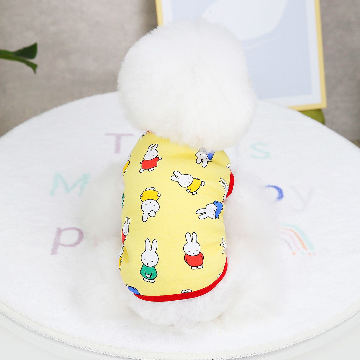 2022. aasta kevad-/suveriietus koerale/lemmikloomale, uus 22 värvi jänesevärviline topp_voghion.com