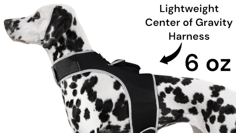 Realtime GSM GPS Pet Tracking System Waterproof Cat Dog Locator + Apps Size:XL_voghion.com