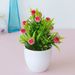 Simulation plant potted green plants Home decoration ornaments 17-mesh star round fruit Mini desktop simulation flower bonsai_voghion.com