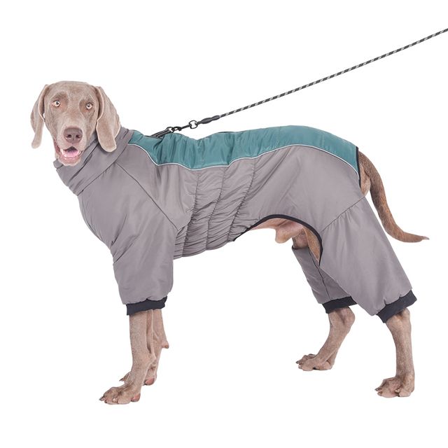Winter Waterproof Dog Jumpsuit Polyester By PawParty Store_voghion.com