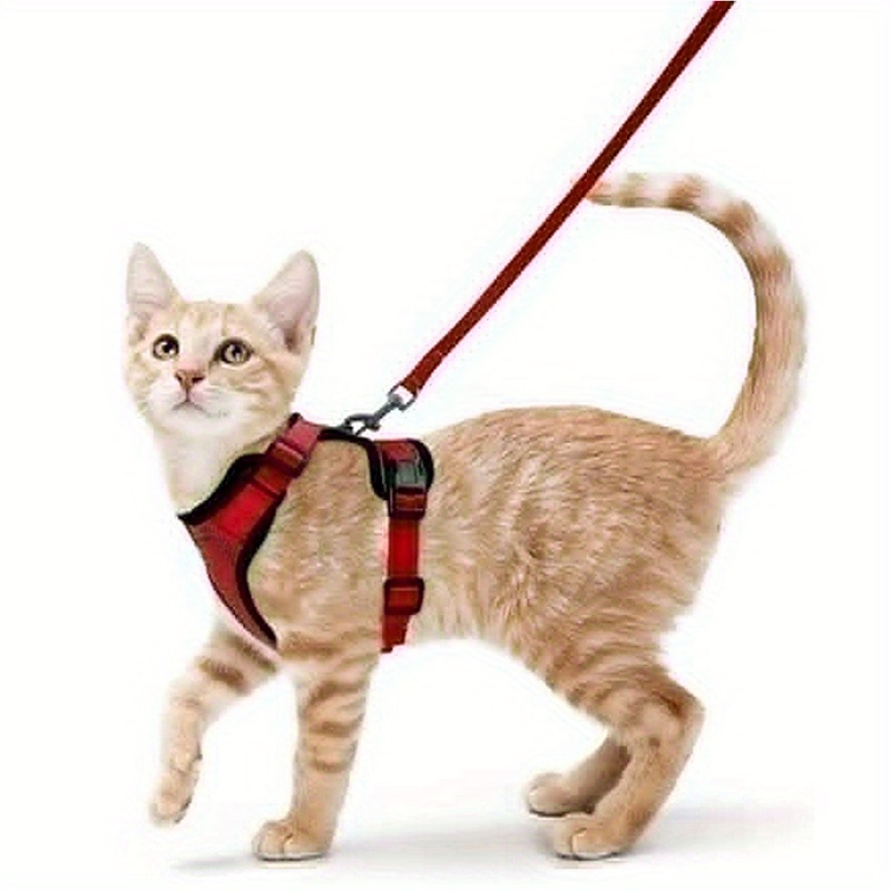 Ausbruchsichere, weiche, verstellbare Katzengeschirr-Leine: Perfekt zum Spazierengehen und Entdecken_voghion.com