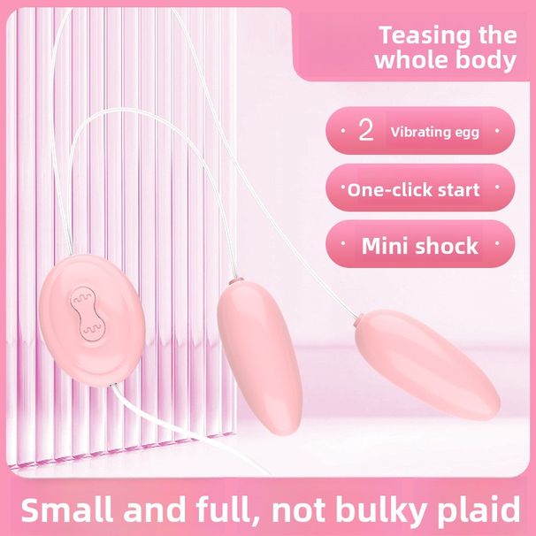 Double Egg Direct Insertion Vibrator Silent Vaginal Massager Adult Female Sex Toys_voghion.com