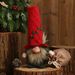 Décorations de Noël Rudolph Gnome Doll - Figurine elfe en tissu festif avec chapeau de Père Noël pour la décoration de la maison des fêtes (rouge, gris, vert)_voghion.com