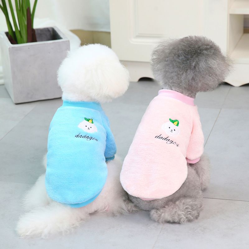 Jachetă nouă Teddy cu două picioare pentru animale de companie, toamnă și iarnă, îmbrăcăminte pentru animale de companie, jachetă de pluș pentru câini 21 dada_voghion.com