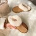 Tasman Slippers Tazz Mustard Seed Chestnut Sand Fur Slides Sheepskin Classic Ultra Mini Platform Boot Winter Women Men Slip-on Shoes Suede Upper Wool_voghion.com