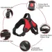 Dog Leash Set, Adjustable Small And Medium Dogs, Chest Strap For Outdoor Walks, Pet Supplies_voghion.com