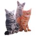 Adorable 3d Simulation 50cm Cat Pillow Plush Toy Cushion For Home Cozy Decor_voghion.com