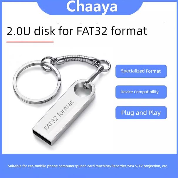 NTFS FAT32 Format Exfatu Disk TV Auto Audio Zeit Projektor Recorder Gewidmet_voghion.com