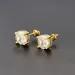 Stud Rock Hip Hop Iced Out Earring for Men Male Ice Studded Zircon Gold Color Piercing Ear Accessories Hiphop Trend_voghion.com