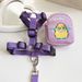 Small Pet Backpack Teddy Bichon Leash Cat Harness Dog Walking_voghion.com