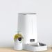 Pet Automatic Feeder Smart Pet Automatic Feeder Kitten Bowl Cat Food Bowl Timed Monitoring Dog Food Feeding Machine Fully Automatic_voghion.com