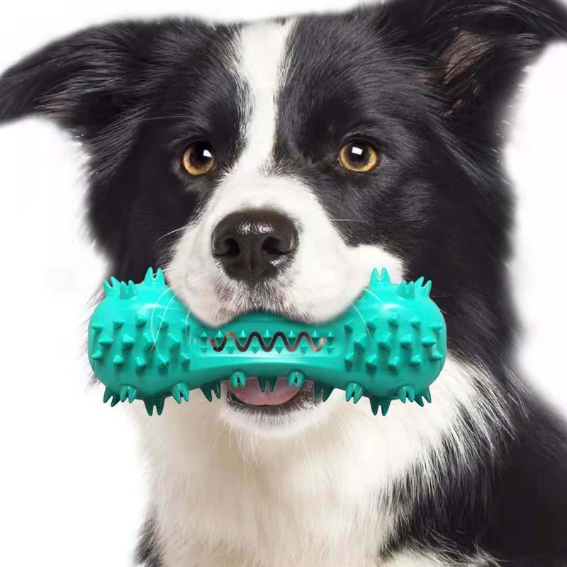 Pet Dog Cleaning Chew Toys For Aggressive Dogs Rubber Molar Stick Dog Oral Teeth_voghion.com