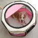 Pet Nest Dog Cat Delivery Room Foldable Cat Nest Pet Fence Tent Octagonal Cage Pet Supplies_voghion.com